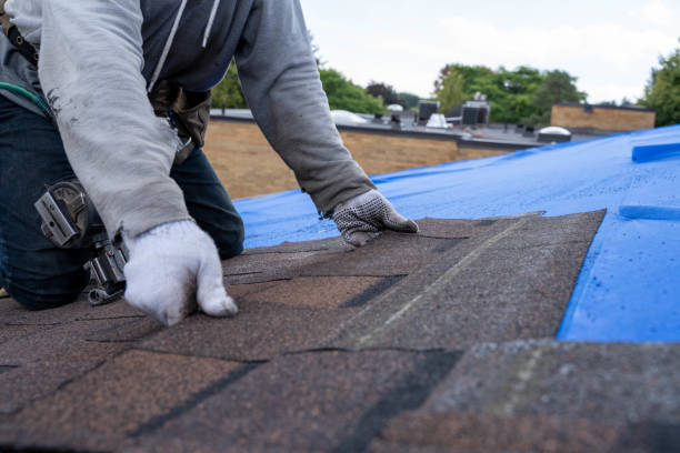 Best New Roof Installation  in Champaign, IL