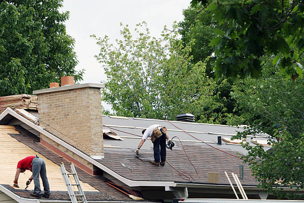 Best Slate Roofing Contractor  in Champaign, IL