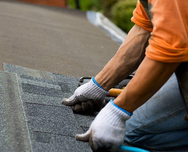 Best Flat Roof Repair Services  in Champaign, IL
