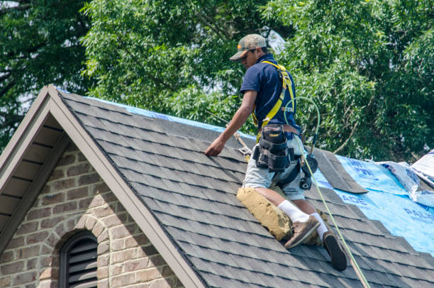Best Storm Damage Roof Repair  in Champaign, IL